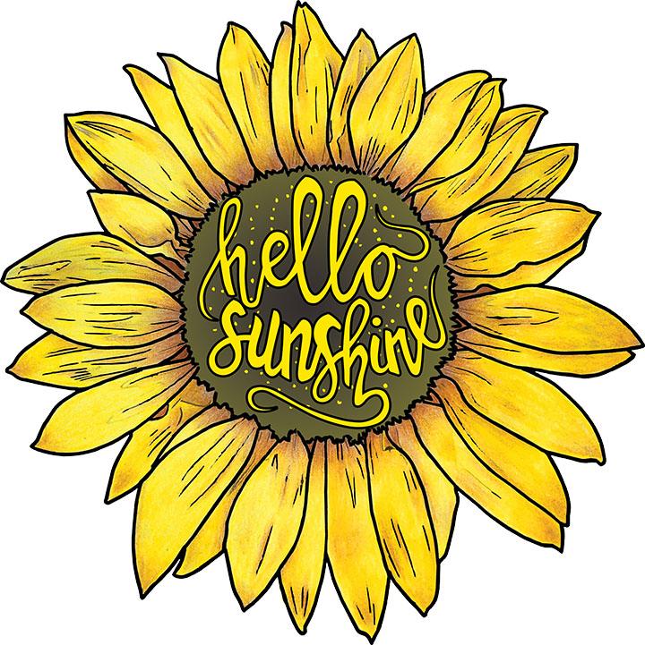 A sunflower with the words hello sunshine written on it.